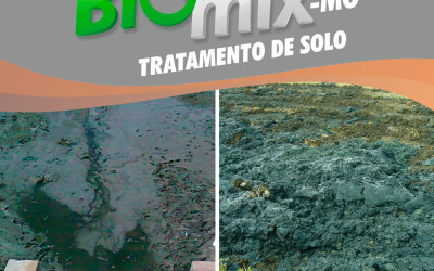 Tratamento de Solo Saturado com Bio-Mix